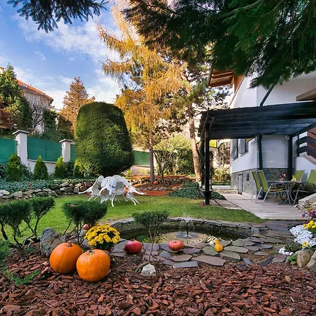 Panoramic Castle With Free Private Parking Apartment *