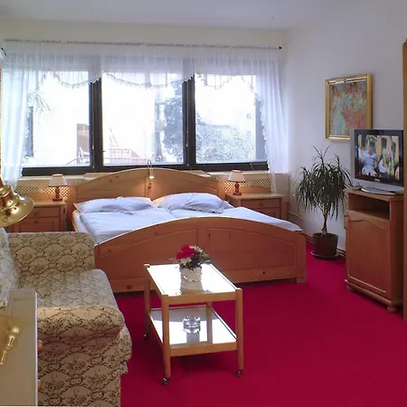 Panoramic Castle With Free Private Parking Apartment *